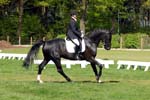 DB1_0011