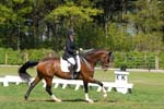 DB1_0029