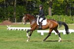 DB1_0031