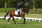 DB1_0054