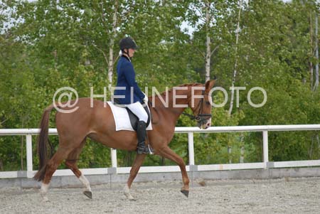 NWT_0054
