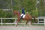 NWT_0064