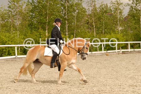 NWT_0021