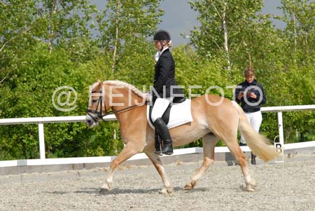 NWT_0031