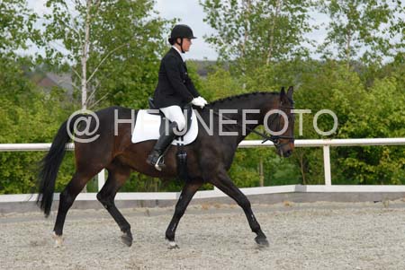 NWT_0104