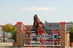 OUD_2446