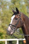 OUD_2344