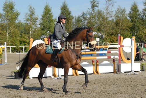 OUD_2204