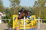 OUD_2202