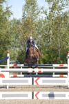 OUD_2236