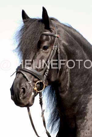 Img0271bewerkt