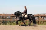LEN_0176