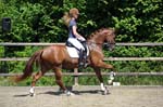 Mac Rider Ilse en Tiesto galop