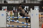 Annelies Boer ZDE reserve kamp Zuid Holland pony