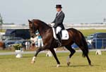 Geert Jan Ratelaar, Diamond