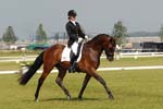 KKS_4071