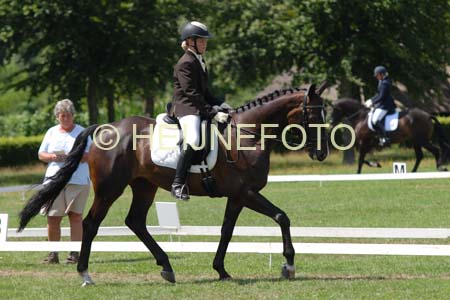 B paarden Wiedeman