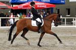 Mandy van den Hoek met Voorwijks Celeste