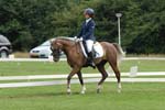 VIT_2202
