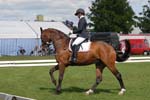 VIT_2315