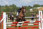 VIT_2319