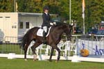 ZVS_4413