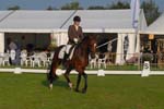 ZVS_4429