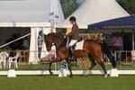 ZVS_4431