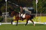ZVS_4439