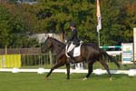 ZVS_4441