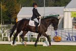 ZVS_4448