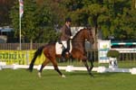 ZVS_4449