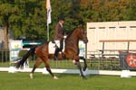 ZVS_4450