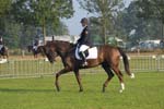 ZVS_4459