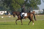 ZVS_4460
