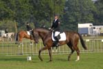 ZVS_4461