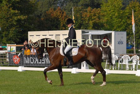 ZVS_4597