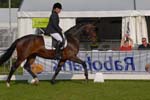 ZVS_4622