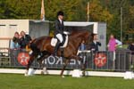ZVS_4624