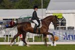 ZVS_4628