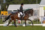ZVS_4630