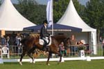 ZVS_4631