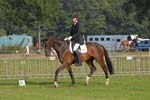 ZVS_4634