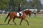 ZVS_4639