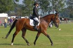 ZVS_4641