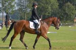ZVS_4642