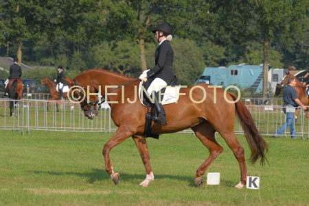 ZVS_4704