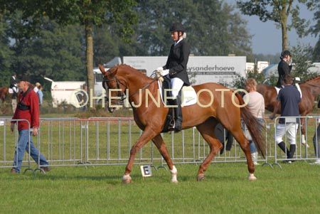 ZVS_4706