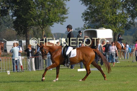 ZVS_4712