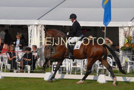 ZVS_4723